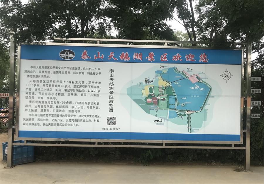 天鵝湖風(fēng)景區(qū)（泰山）速覽！(圖2)